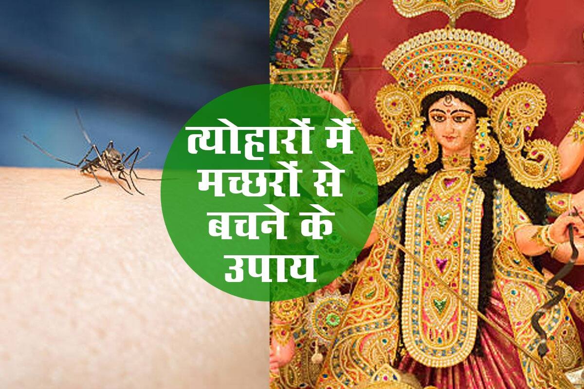 दुर्गा पूजा पंडाल में जा रहे हैं तो करें ये 5 काम, डेंगू और बीमारियों से रहेंगे सेफ